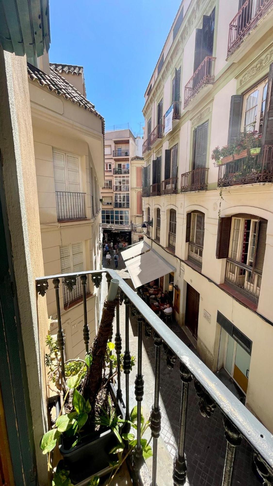 Con Alma Malaguena Málaga