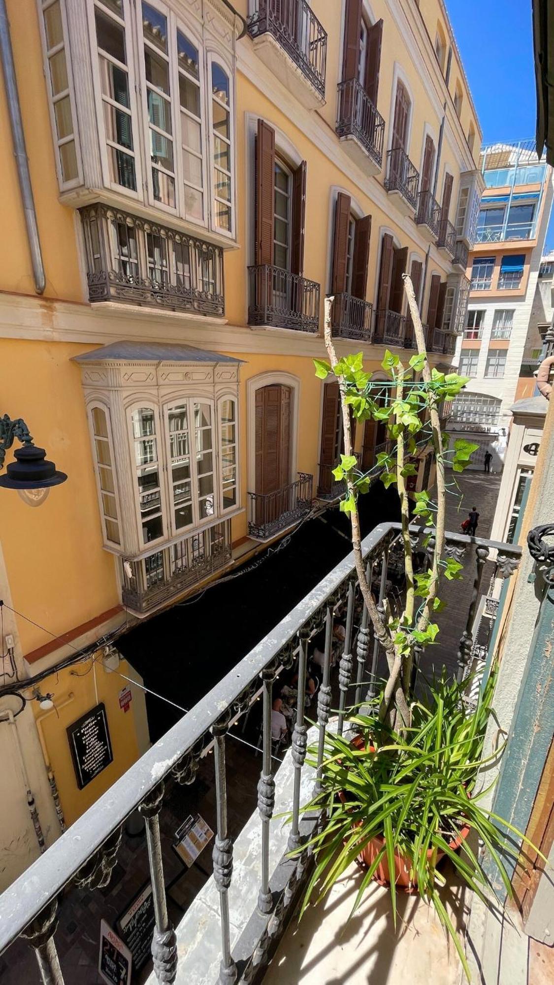 Con Alma Malaguena * Málaga